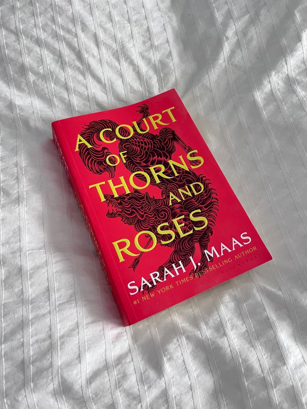 My ACOTAR Obsession is Out of&nbsp;Hand